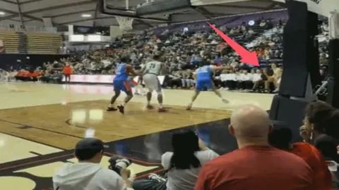 乡村振兴画卷：全球视角中的中国乡村魅力展现