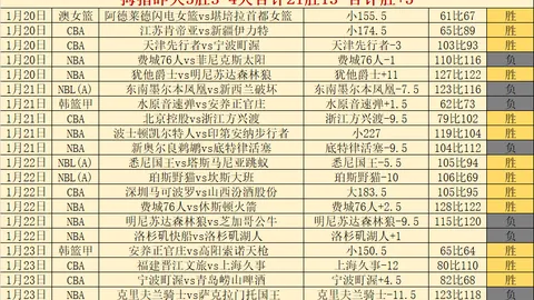 解放者杯数据调整解析及专家深度分析